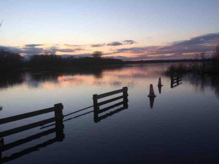 Cosy Pet Friendly Victorian Coachhouse Near Nature Walks On Norfolk Broads, With Fire Pit, Bbq & Alpacas Villa Ranworth Exterior foto